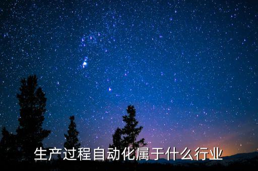 生產(chǎn)過程自動化屬于什么行業(yè)