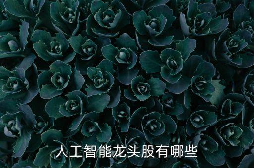 人工智能科技龍頭股票有哪些，人工智能龍頭股有哪些
