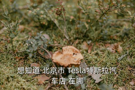 想知道 北京市 Tesla特斯拉汽車店 在哪