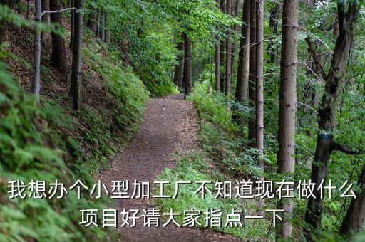 我想辦個(gè)小型加工廠不知道現(xiàn)在做什么項(xiàng)目好請(qǐng)大家指點(diǎn)一下