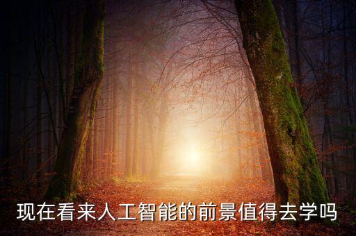 現(xiàn)在看來人工智能的前景值得去學(xué)嗎