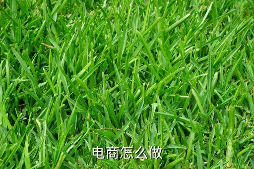 電商怎么做