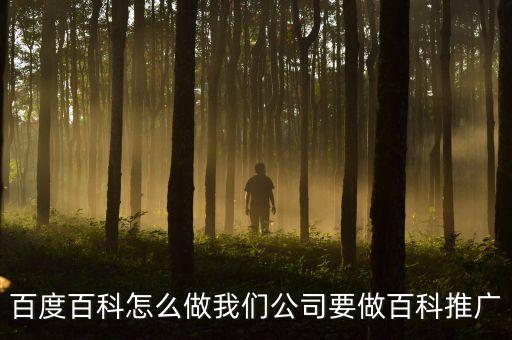 百度百科怎么做我們公司要做百科推廣
