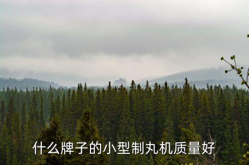 什么牌子的小型制丸機質(zhì)量好