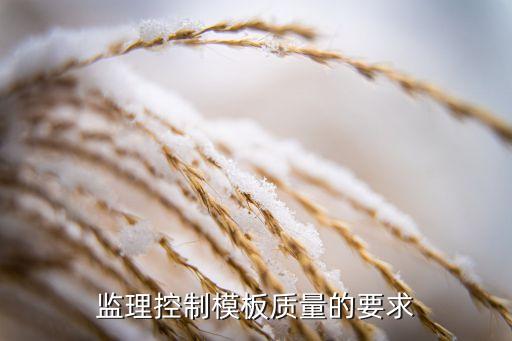 模板工程及支撐體系監(jiān)理細(xì)則，高支模工程監(jiān)理細(xì)則
