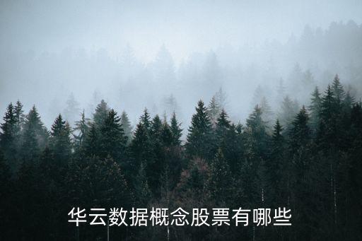 數(shù)字經(jīng)濟(jì)類股票有哪些，華云數(shù)據(jù)概念股票有哪些