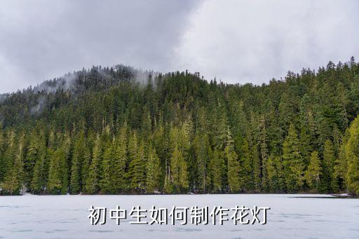 初中生如何制作花燈