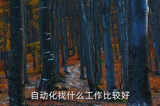 自動(dòng)化找什么工作比較好