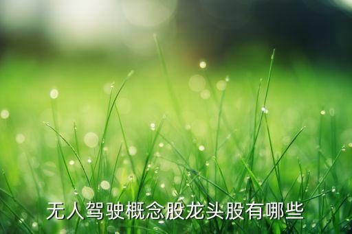 無(wú)人駕駛概念股龍頭股有哪些
