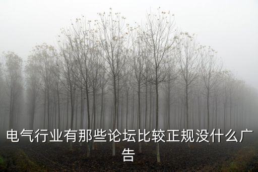 電氣行業(yè)有那些論壇比較正規(guī)沒什么廣告