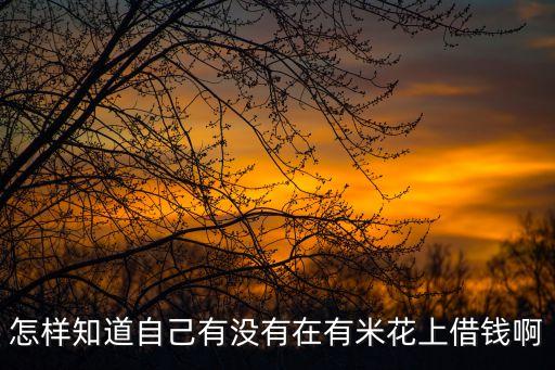 多來米花借款平臺(tái)，哪個(gè)平臺(tái)好借錢