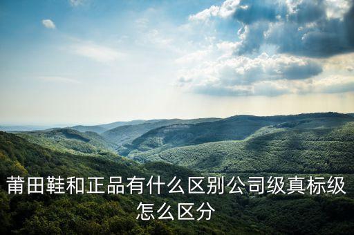 莆田鞋和正品有什么區(qū)別公司級真標級怎么區(qū)分