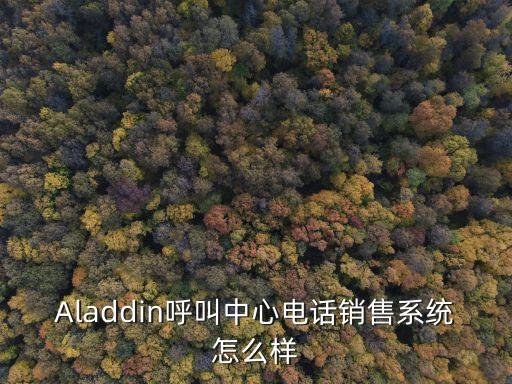 Aladdin呼叫中心電話銷售系統(tǒng)怎么樣