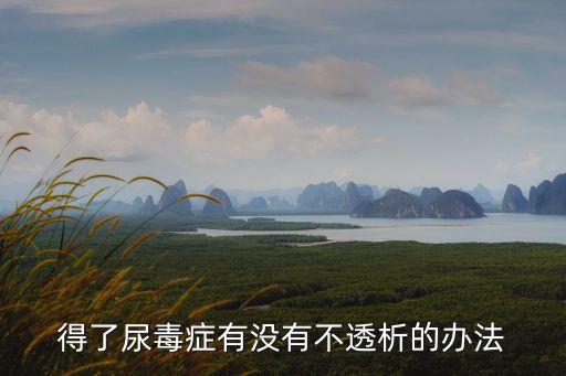 得了尿毒癥有沒有不透析的辦法