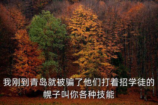 我剛到青島就被騙了他們打著招學(xué)徒的幌子叫你各種技能