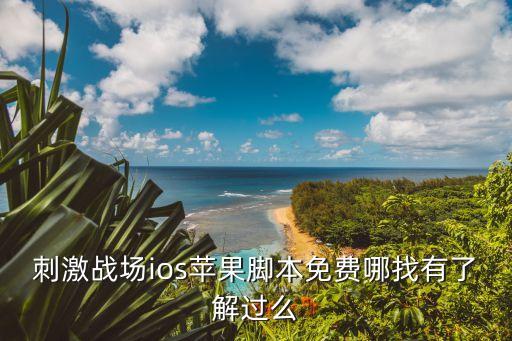 刺激戰(zhàn)場ios蘋果腳本免費哪找有了解過么