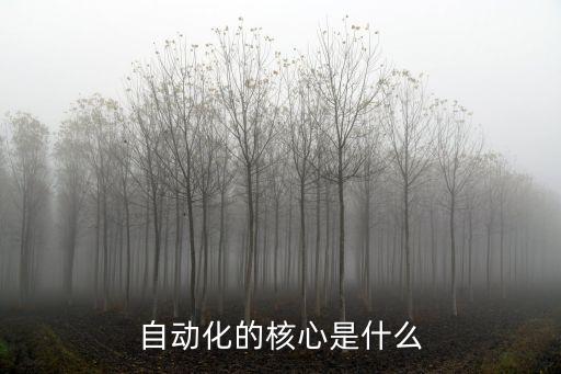自動(dòng)化的核心是什么