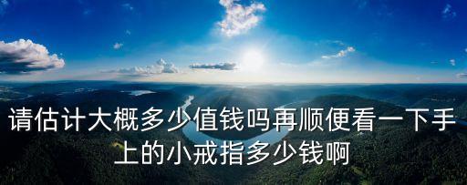 請估計(jì)大概多少值錢嗎再順便看一下手上的小戒指多少錢啊