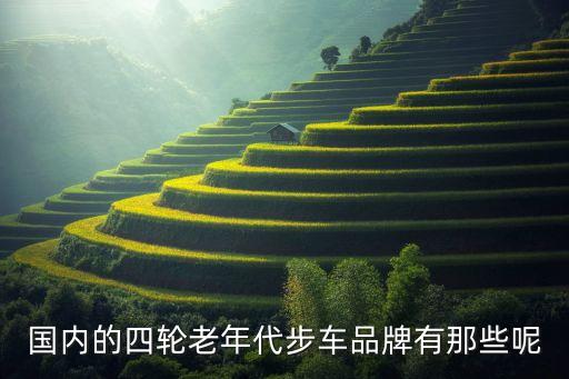 國內(nèi)的四輪老年代步車品牌有那些呢
