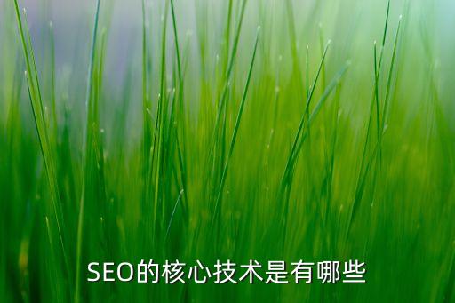 核心技術(shù)包括，簡一的核心技術(shù)有哪些
