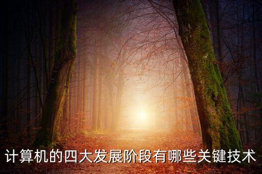 四大發(fā)展階段，人類進化發(fā)展的四個階段是
