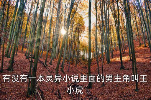 有沒(méi)有一本靈異小說(shuō)里面的男主角叫王小虎