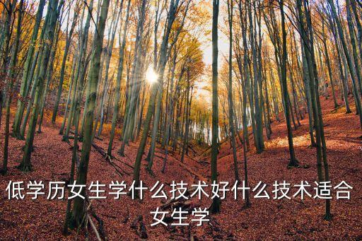 低學歷女生學什么技術好什么技術適合女生學
