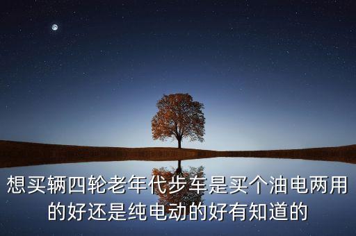 想買輛四輪老年代步車是買個(gè)油電兩用的好還是純電動(dòng)的好有知道的