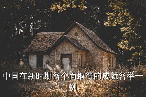 新時代中國的十大成就PPT，中國在新時期各個面取得的成就各舉一例