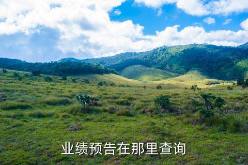 業(yè)績預告在那里查詢