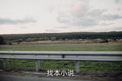 找本小說(shuō)
