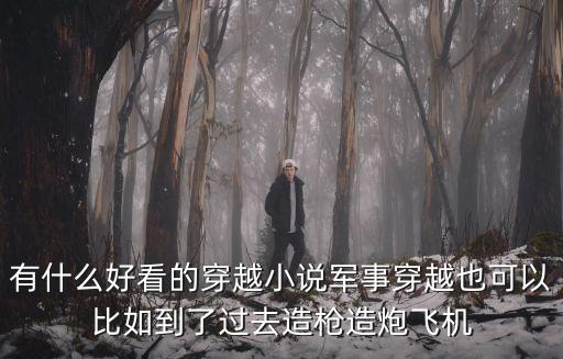 有什么好看的穿越小說軍事穿越也可以比如到了過去造槍造炮飛機(jī)