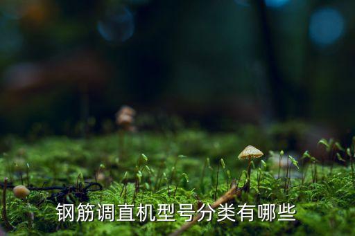 鋼筋調(diào)直機(jī)型號(hào)分類有哪些