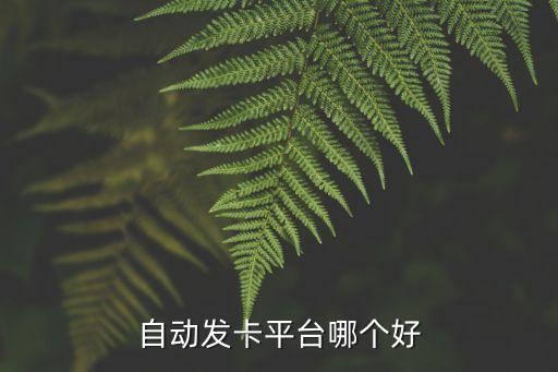 天神發(fā)卡網(wǎng)企業(yè)級(jí)自動(dòng)發(fā)卡平臺(tái)，網(wǎng)站架設(shè)與制作
