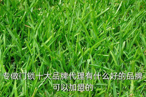 德施曼智能鎖加盟代理，德施曼智能鎖品牌怎么樣加盟費(fèi)多少
