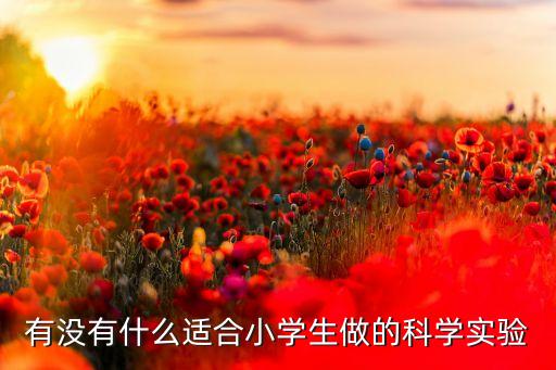 有沒有什么適合小學(xué)生做的科學(xué)實(shí)驗(yàn)