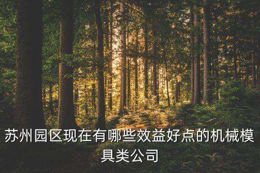 蘇州園區(qū)現(xiàn)在有哪些效益好點(diǎn)的機(jī)械模具類公司