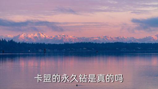免費(fèi)卡盟刷永久鉆，卡盟的永久鉆是真的嗎