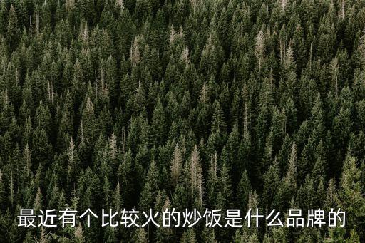 最近有個(gè)比較火的炒飯是什么品牌的