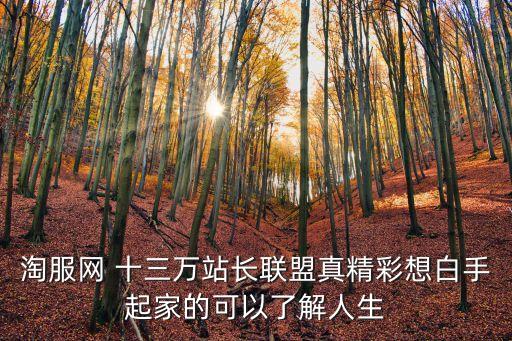 淘服網(wǎng) 十三萬站長聯(lián)盟真精彩想白手起家的可以了解人生