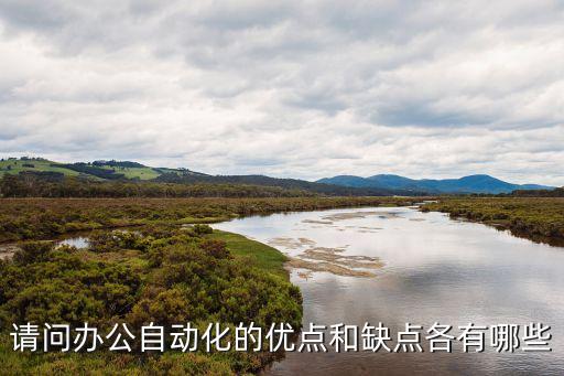 請問辦公自動(dòng)化的優(yōu)點(diǎn)和缺點(diǎn)各有哪些