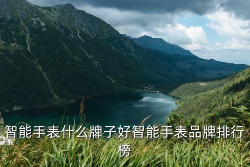 智能手表性價比排行，智能手表排行榜