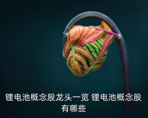 鋰電池龍頭股有哪些股票，鋰電池概念股龍頭一覽 鋰電池概念股有哪些