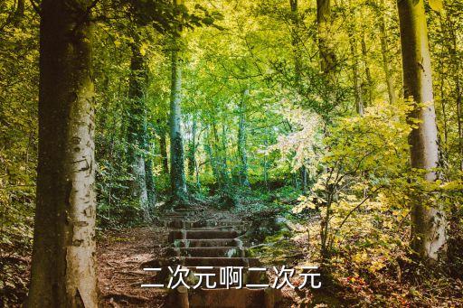 二次元啊二次元
