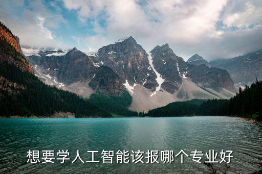 想要學(xué)人工智能該報(bào)哪個專業(yè)好
