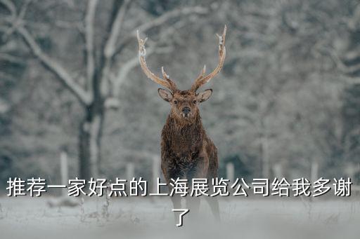 推薦一家好點的上海展覽公司給我多謝了