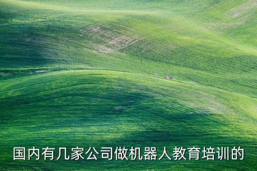 國內(nèi)有幾家公司做機器人教育培訓(xùn)的
