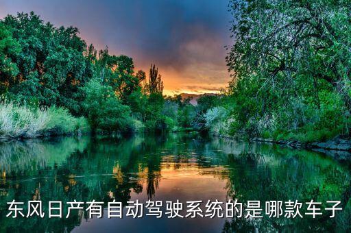 東風(fēng)日產(chǎn)有自動駕駛系統(tǒng)的是哪款車子