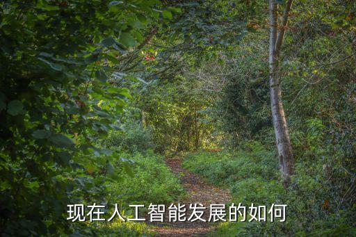 中國人工智能現(xiàn)狀研究，現(xiàn)在人工智能發(fā)展的如何