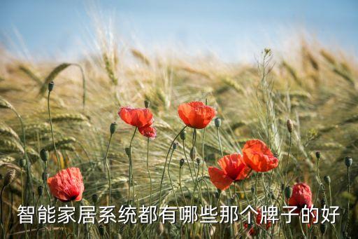 智能家居系統(tǒng)都有哪些那個牌子的好